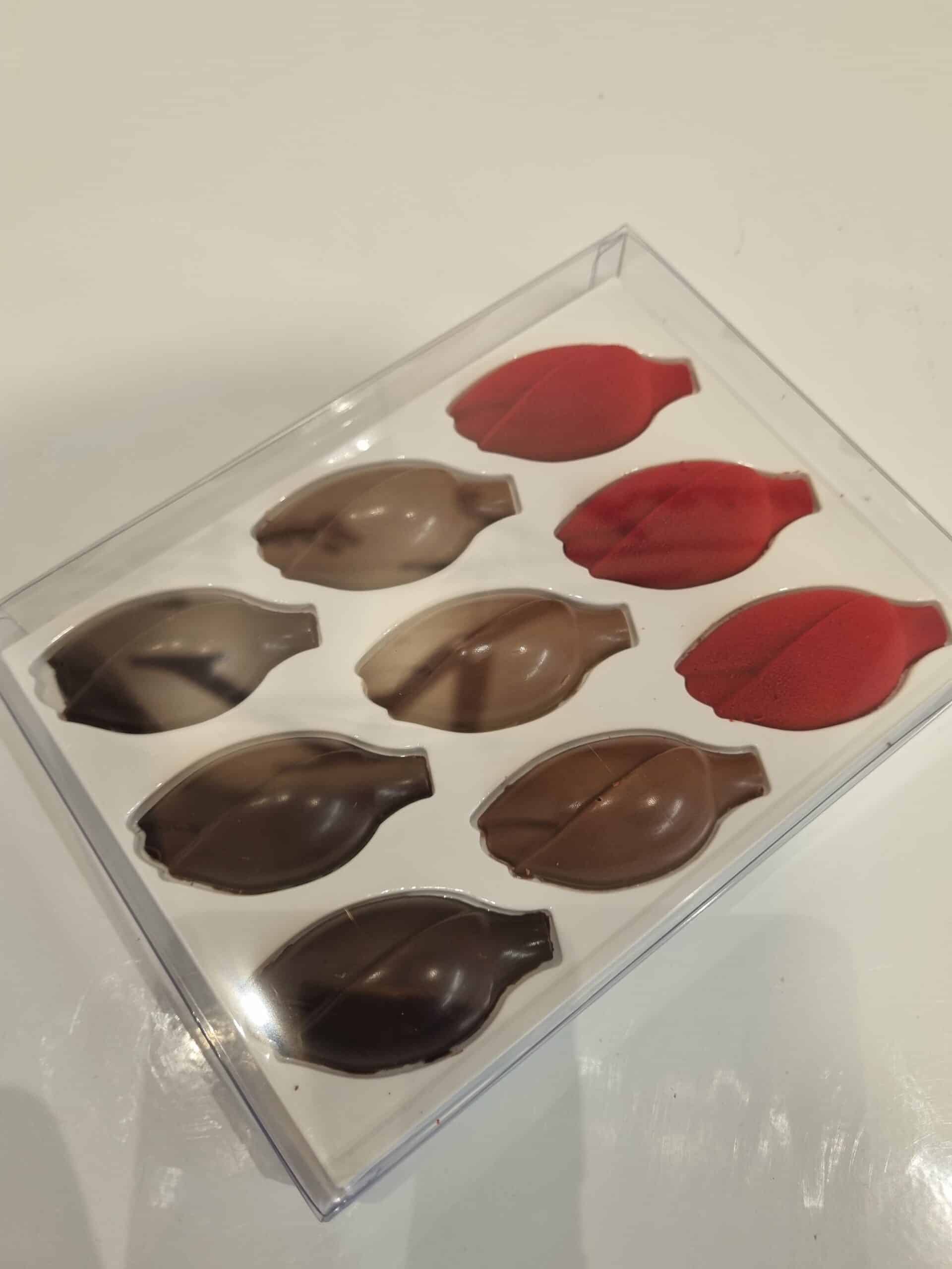 Coffret de neuf tulipes